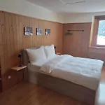 Chasa Bellavista Apartment Ardez
